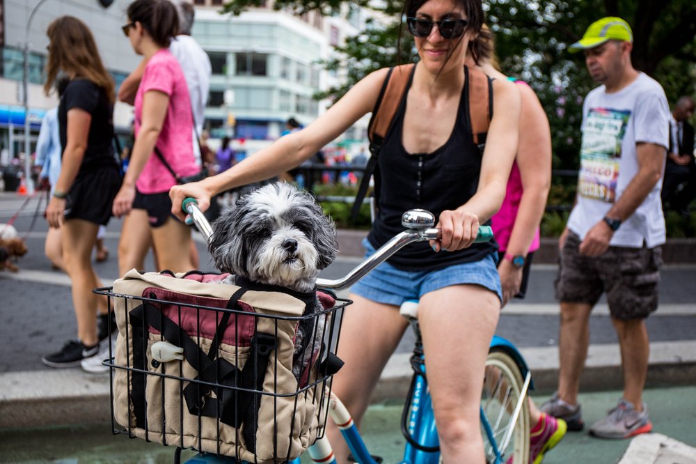 ca2c76e12summerstreets-117-jpg.jpeg