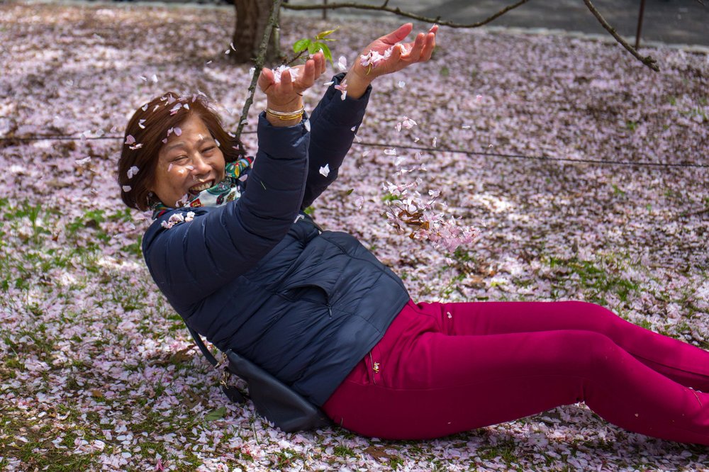 ccf5776b7sakura-99-jpg.jpeg