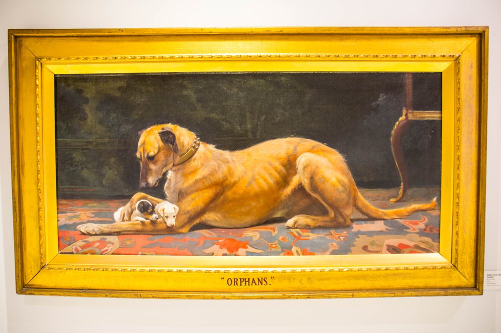 cfe2795c6dog-30-jpg.jpeg