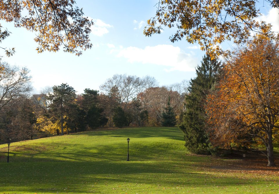 Cedar Hill, present day. (Courtesy of the Central Park Conservancy)