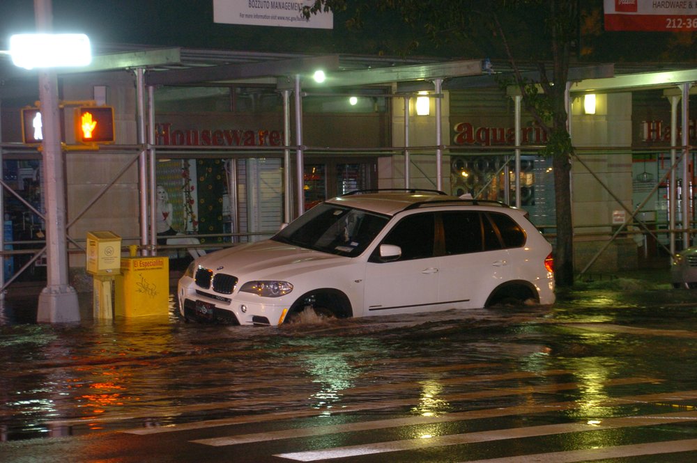 d1ada98dfdsc_0139-jpg.jpeg