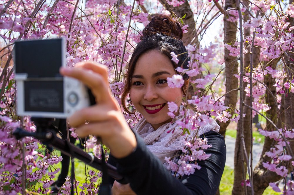 d35f57424sakura-80-jpg.jpeg