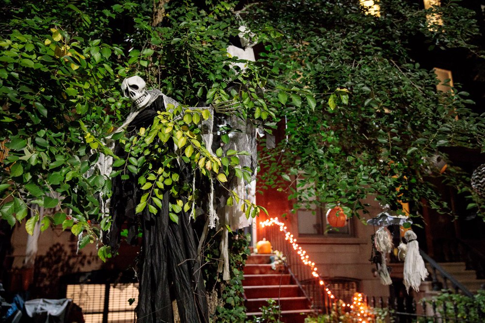 d40c68987carrollgardenscobblehillhalloweendecorations-00123-jpg.jpeg