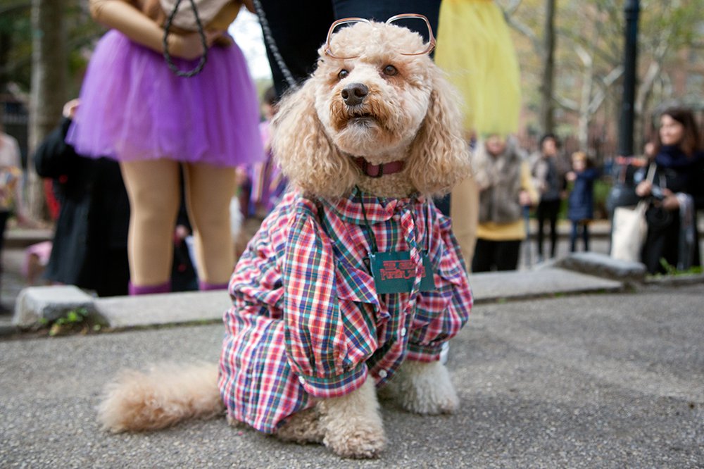d468e97878f8413c9b_mg_5633-jpg-jpeg.jpeg Barb from Stranger Things, just in time for Season 2!<br>