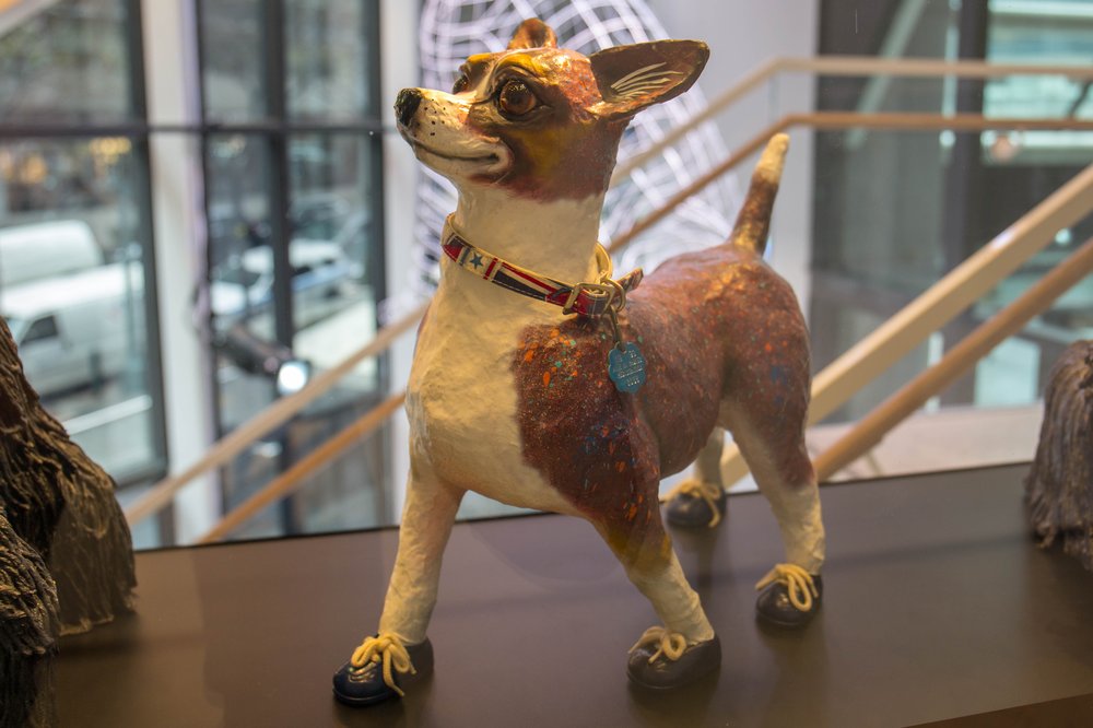 d5329371adog-58-jpg.jpeg