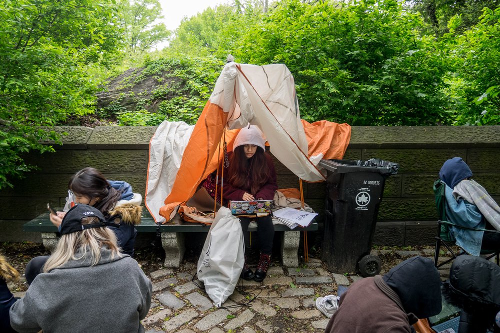 d6d5685b4btsfans-todseelie-2-jpg.jpeg (<a href="http://todseelie.com">Tod Seelie</a> / Gothamist)