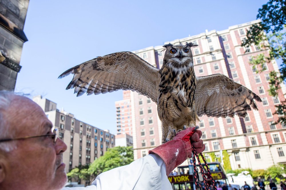 d77900e71blessanimals-63-jpg.jpeg