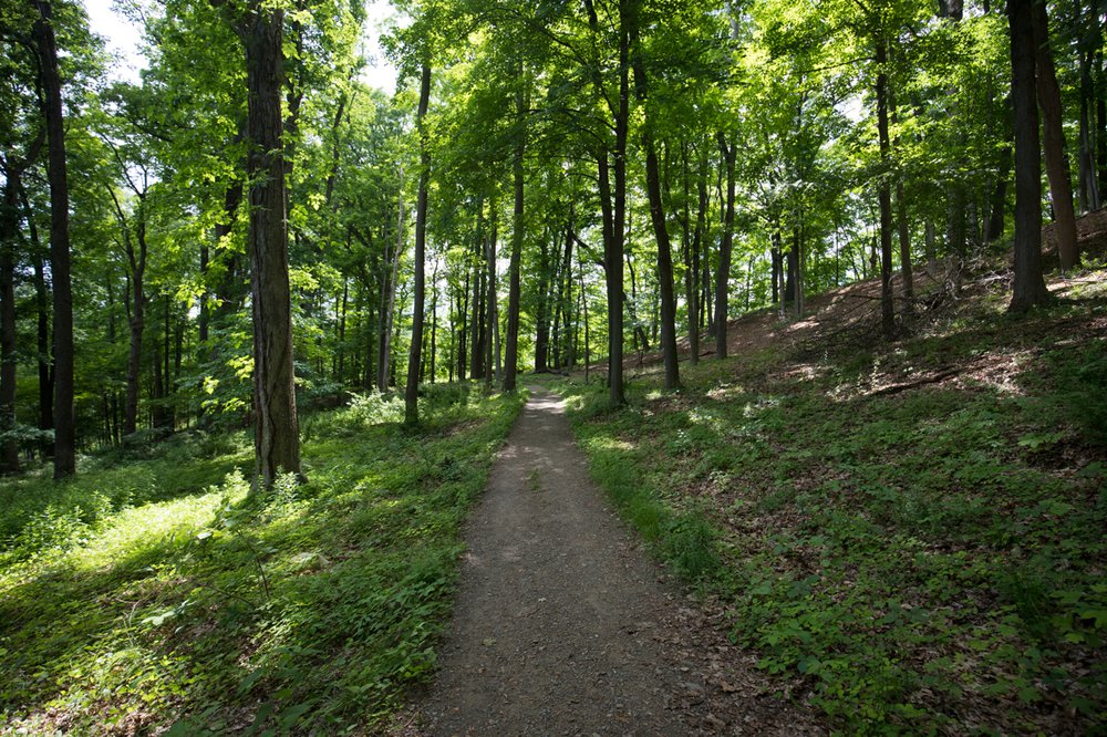 d8e53b125saimokhtari-0682-moodna-creek-trail-jpg.jpeg