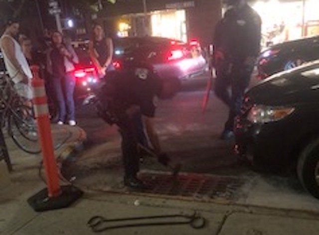 A "duckmergency" unfolds in Park Slope.