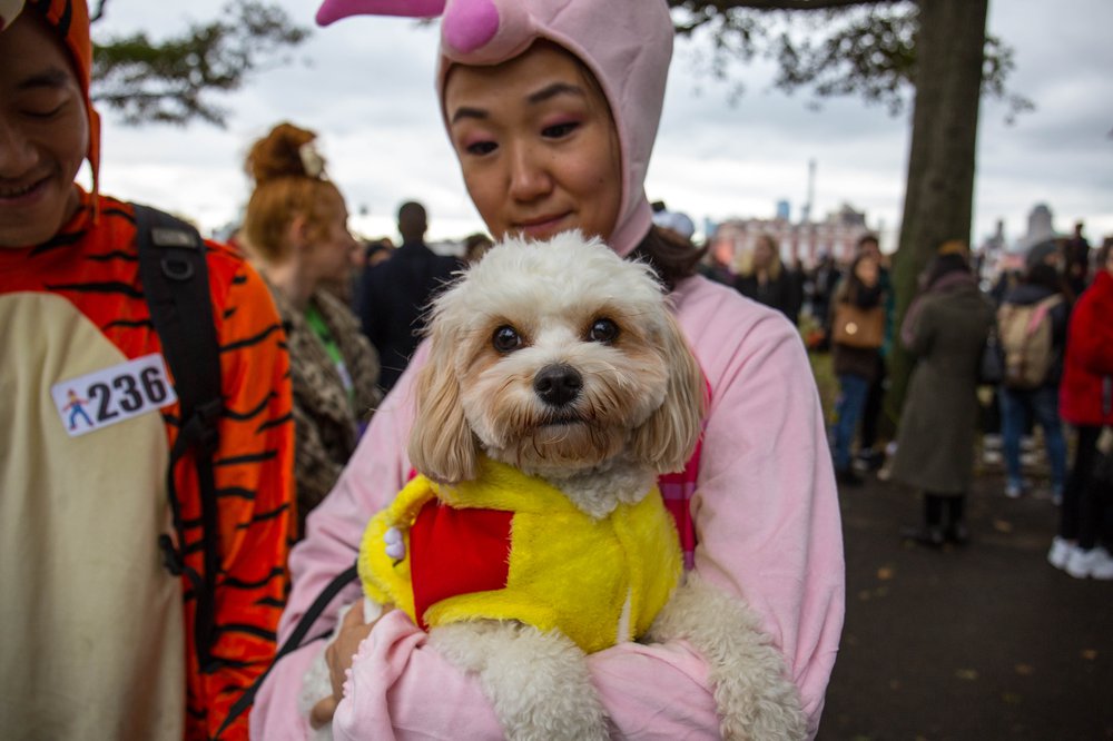 e0bd57085dog-147-jpg.jpeg
