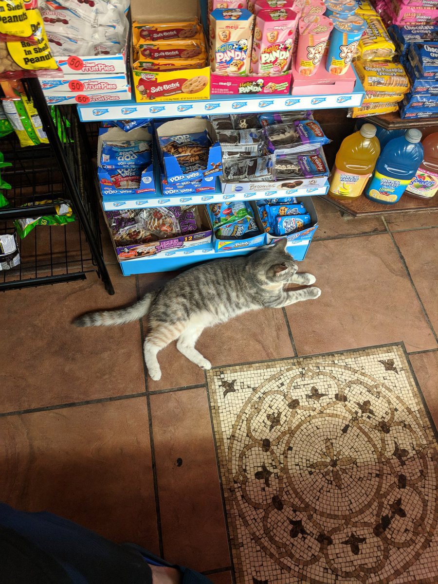 e0faa5c5cbodegacatsnacks-jpg.jpeg This bodega cat will help you make the best snack selection.<br>(Helst)