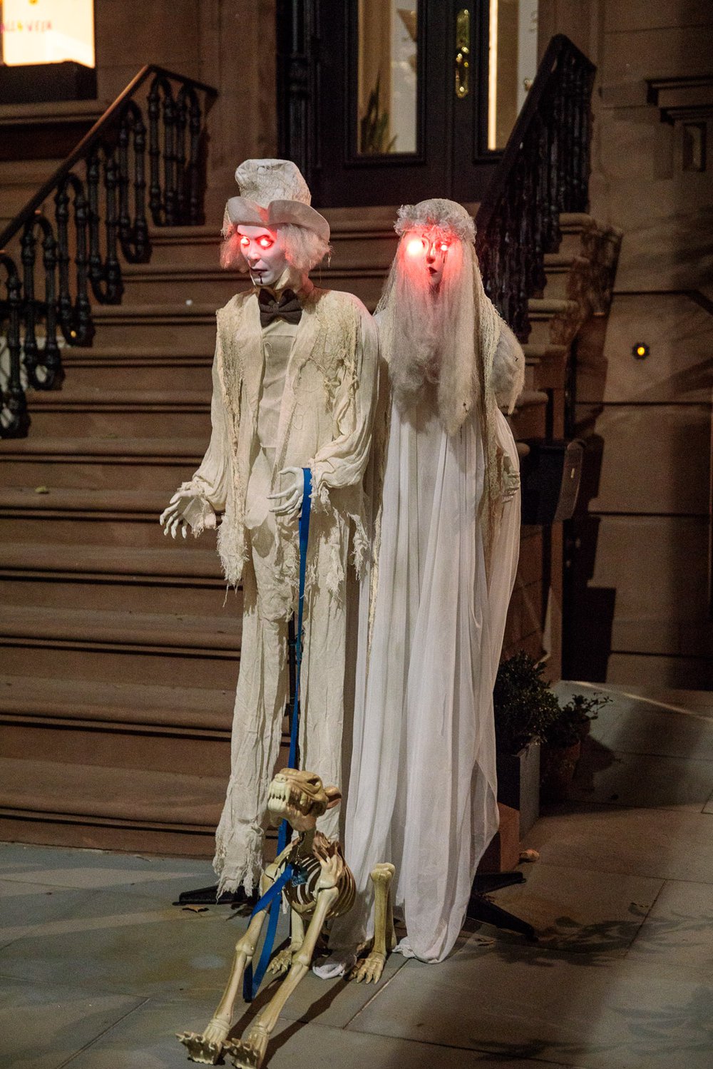 e17ddb98bcarrollgardenscobblehillhalloweendecorations-00125-jpg.jpeg