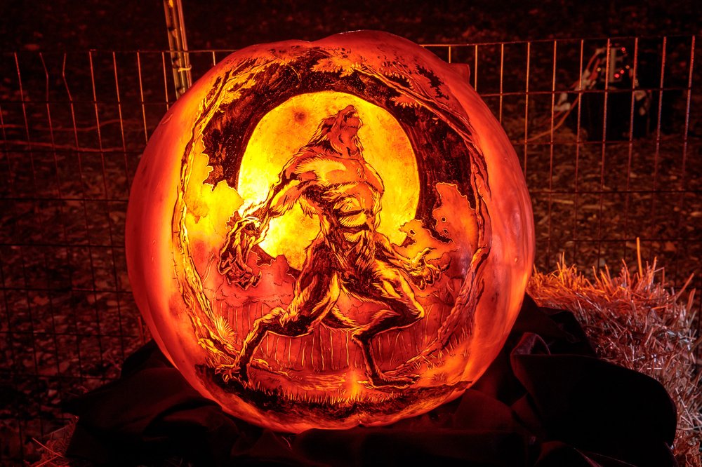 ea45150dbriseofjackolanterns-todseelie-9-jpg.jpeg