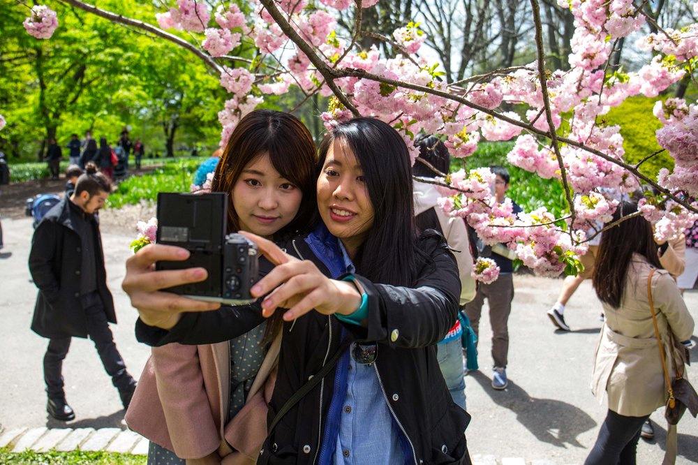 eb507aef7sakura-26-jpg.jpeg