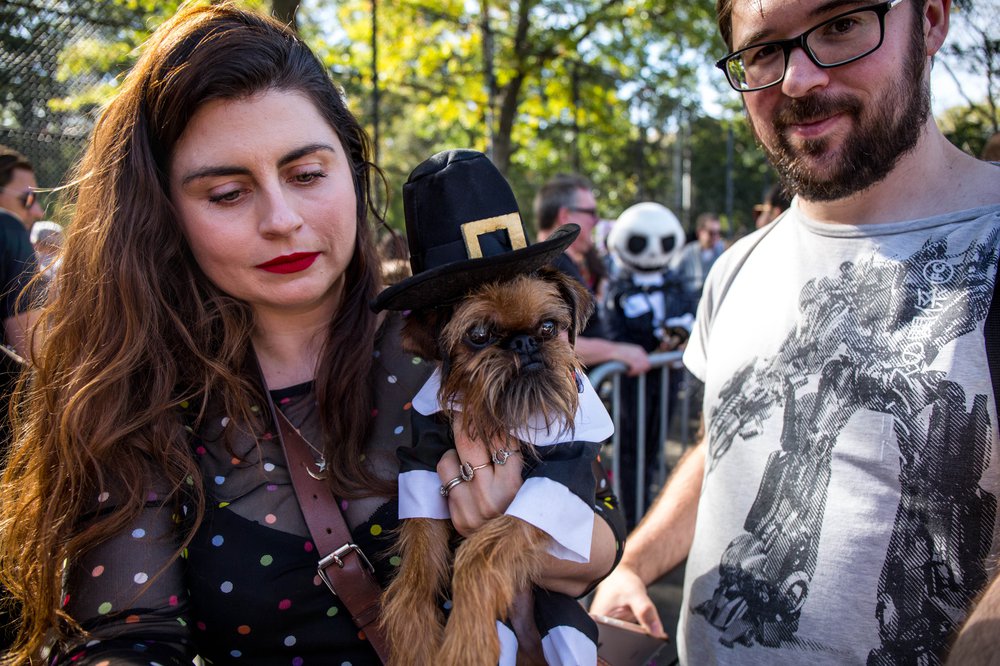 eced85539doghalloween-147-jpg.jpeg