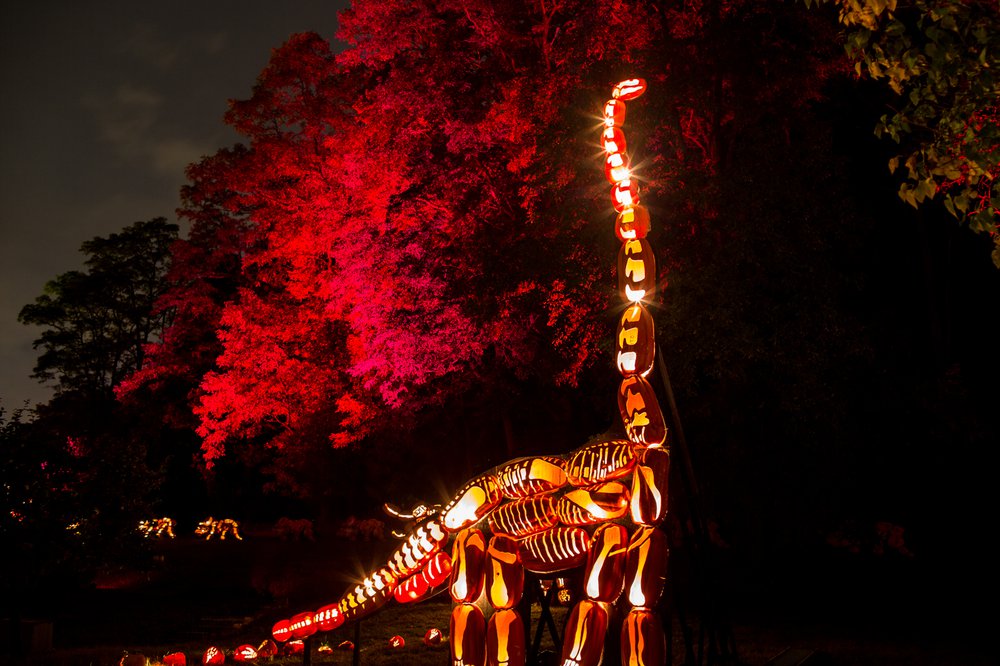 edc0c9ba0101016theblaze-29-jpg.jpeg