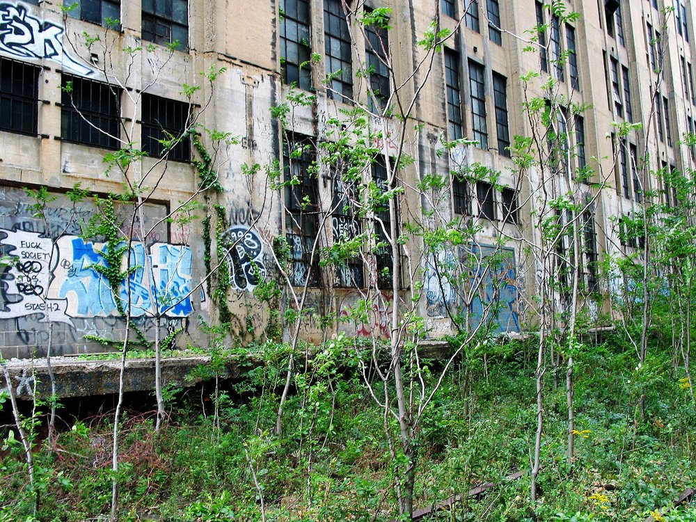edcc55f172002e-jpg.jpeg Spring 2002: an old overgrown siding, near 25th Street. A lot of the buildings abutting the Line were abandoned and covered with graffiti. (Jake Dobkin)