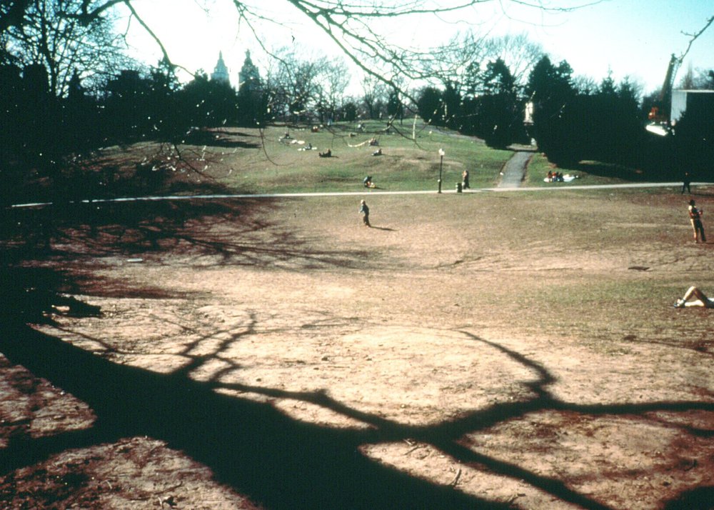 Cedar Hill, 1980s