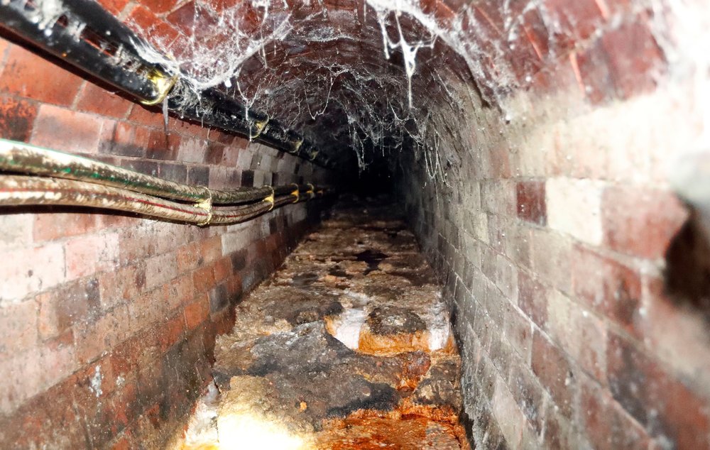 f2359981fshutterstock_9078236f-jpg.jpeg Britain New Fatberg, London. (Shutterstock)