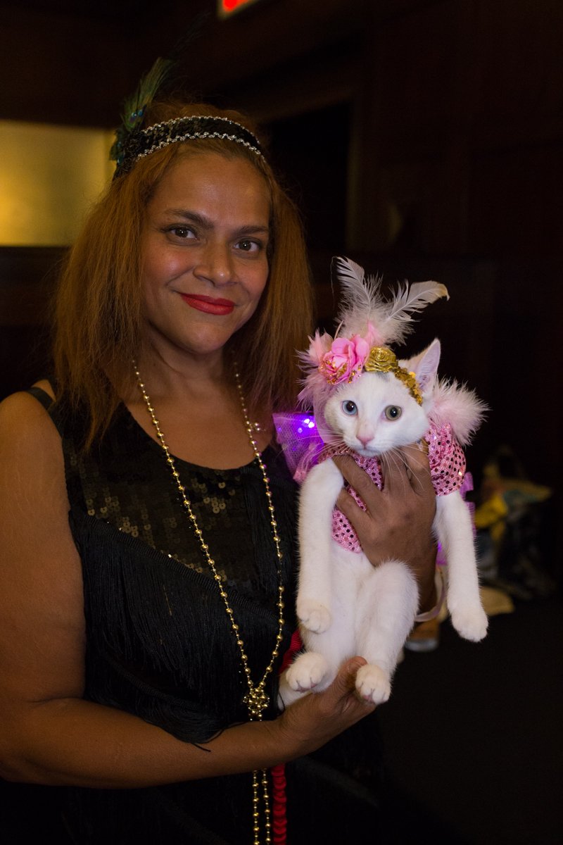 f24d53737img_3812-jpg.jpeg This was a "Cabaret" kitty<br>