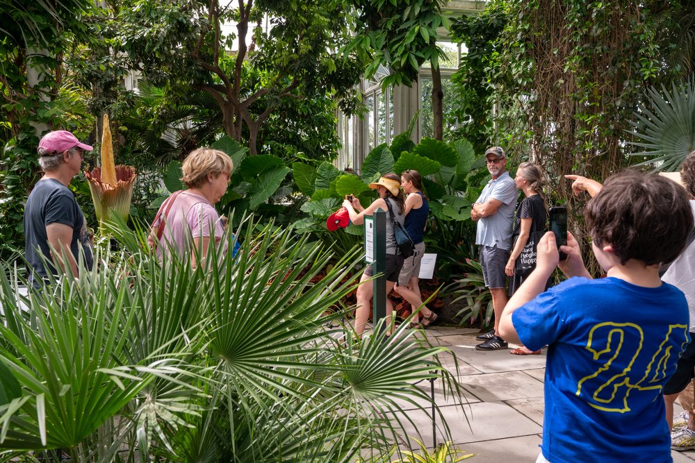 f2ab75005a7r01238-jpg.jpeg New York Botanical Garden visitors admire the corpse flower