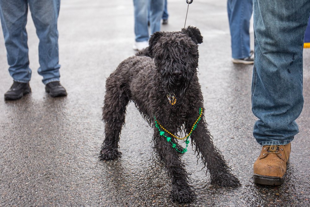 f4d78d3c6rockstpats-108-jpg.jpeg
