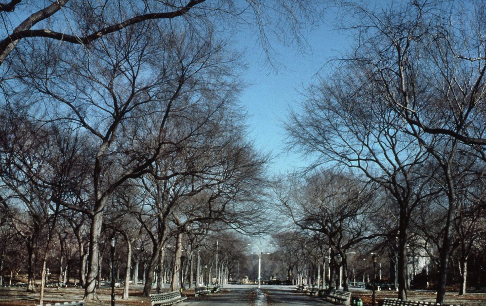 The Mall, 1980s. (Courtesy of the Central Park Conservancy)