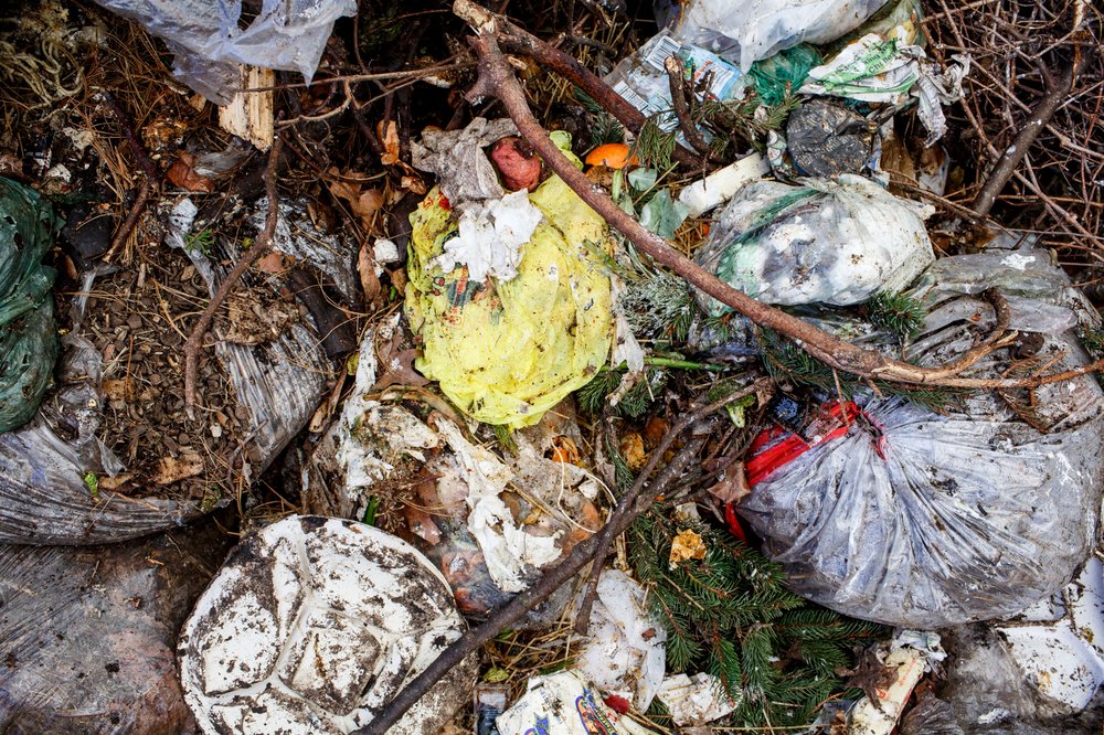 fb10ef57d032517compostdsny-8-jpg.jpeg Collected compostable waste.</br>