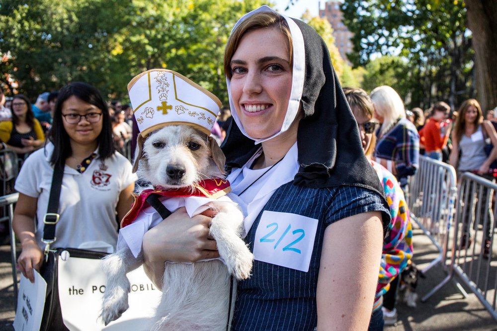 fbc1969f4doghalloween-105-jpg.jpeg