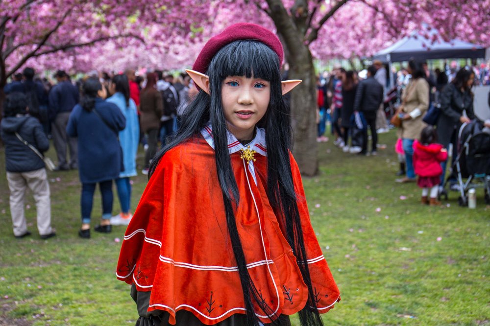 fbc923a4dsakura-128-jpg.jpeg