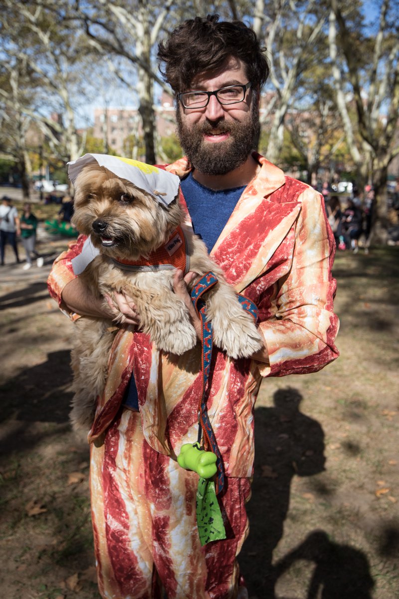 fcbb976ce20171028-img_5472-jpg.jpeg The dog is a fried egg<br>