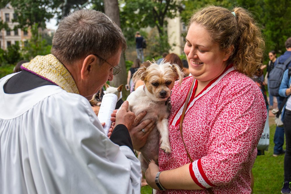 fd28d1438blessing-153-jpg.jpeg