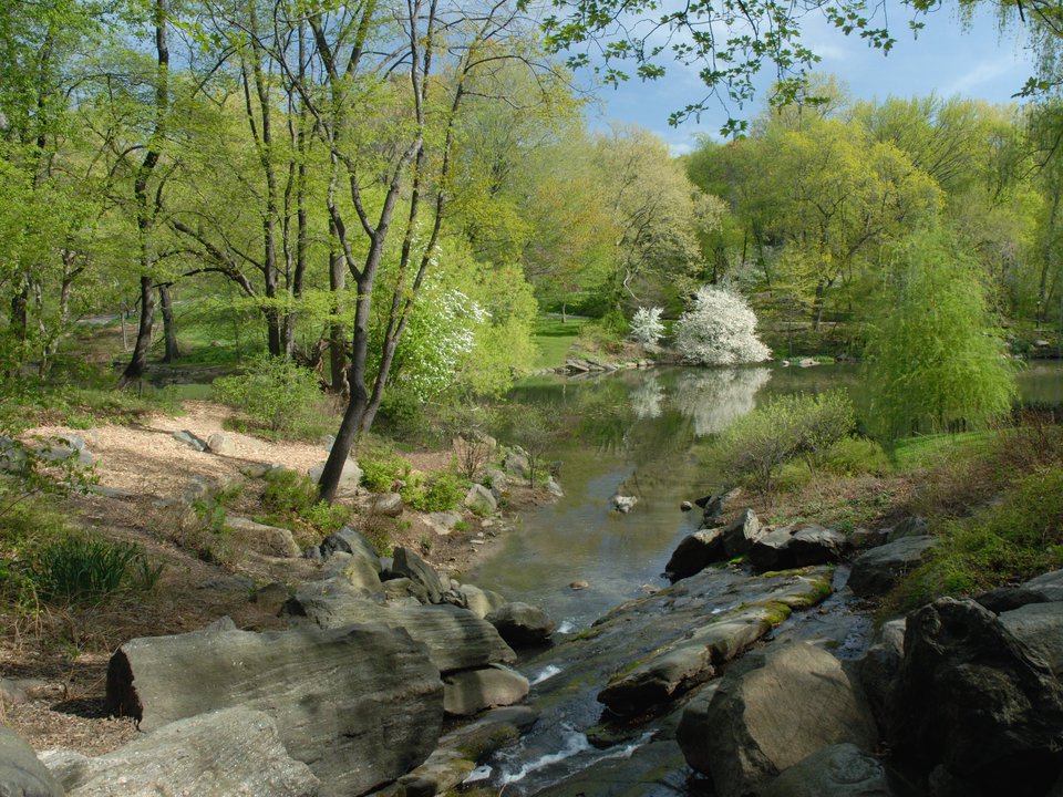 The Pool, present day. (Courtesy of the Central Park Conservancy)