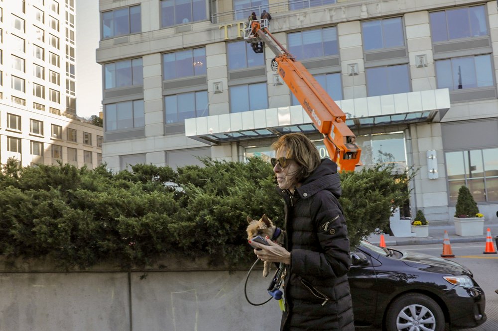 (<a href="https://www.todseelie.com/">Tod Seelie</a> / Gothamist)