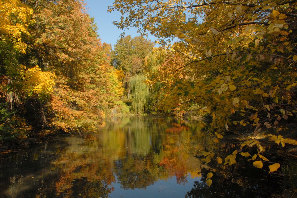 Bank Rock Bay, present day. (Courtesy of the Central Park Conservancy)