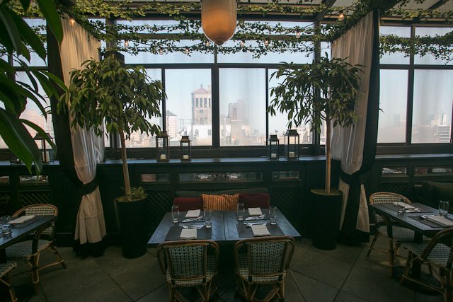 gramercy-park-hotel-samhorine-5768.jpg Looking out.