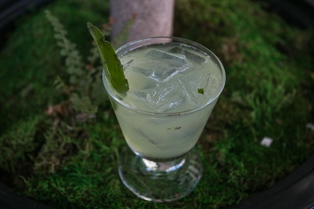 gramercy-park-hotel-samhorine-5850.jpg Basil Mojito, anyone?