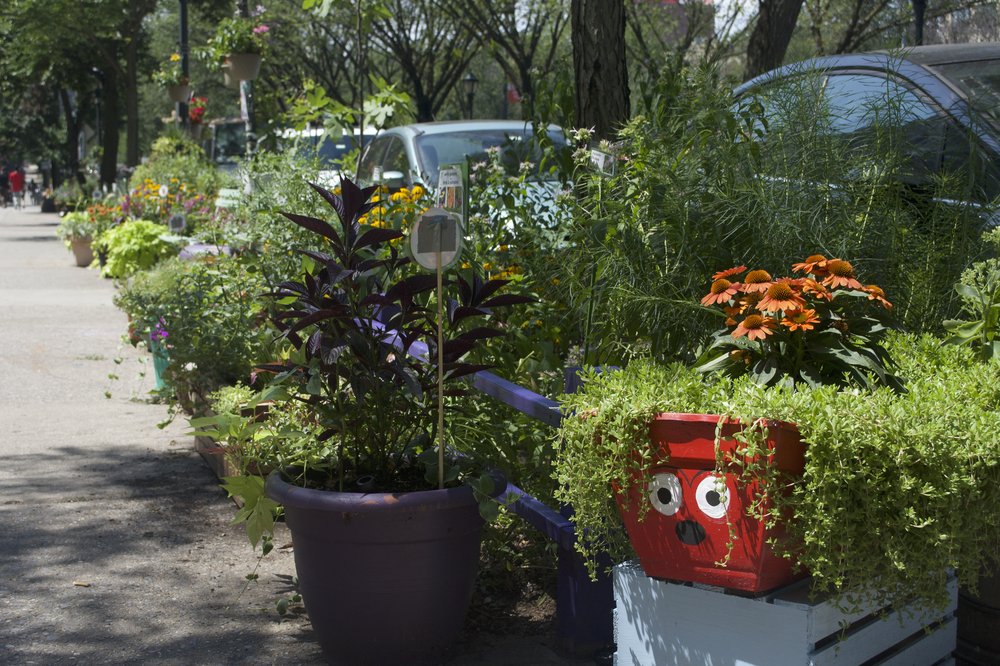 This year's winner of the residential category in the Greenest Block in Brooklyn contest, the stretch of Eastern Parkway between Franklin and Bedford avenues