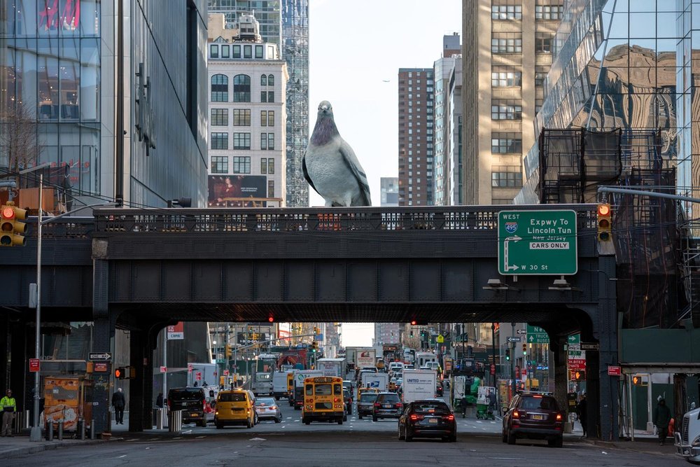 Iván Argote’s Dinosaur, a colossal, hyper-realistic sculpture of a pigeon cast in aluminum, is coming to the High Line.