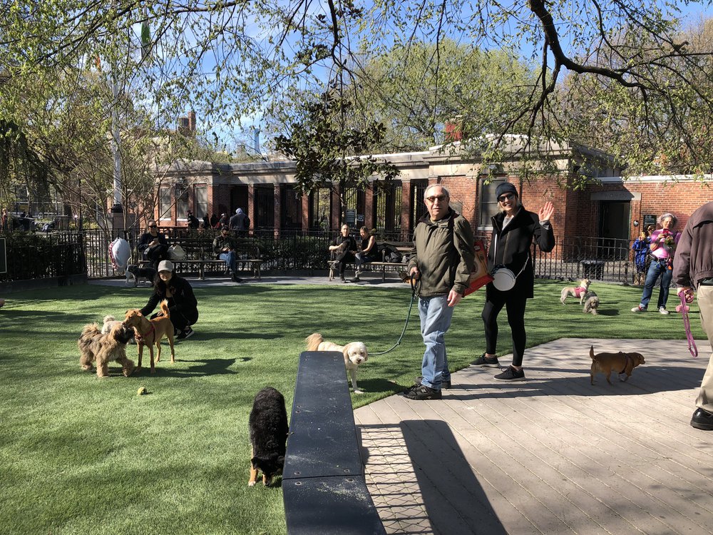 A photo of tompkins square dog run
