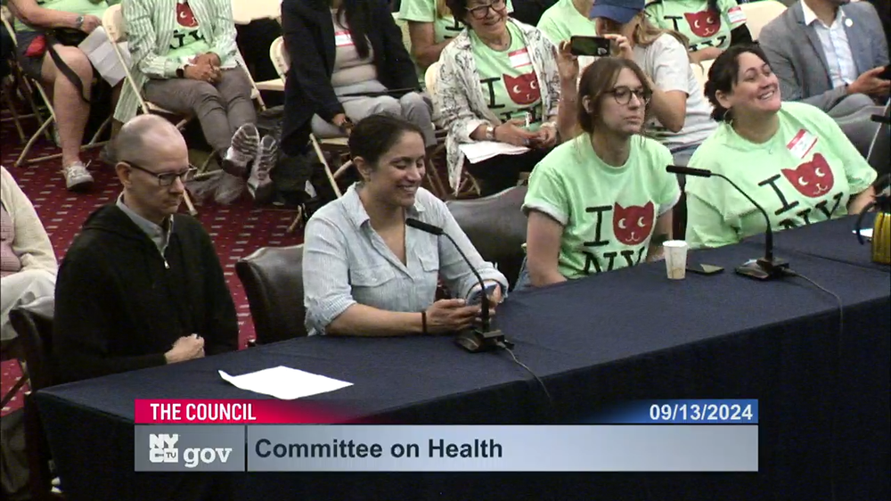 Witnesses wearing "I cat NY" t-shirts testify at a New York City Council hearing on Sept. 13, 2024.