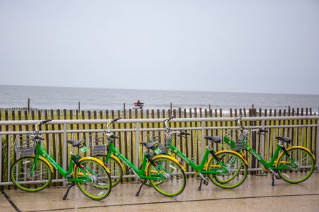 lime524.jpg