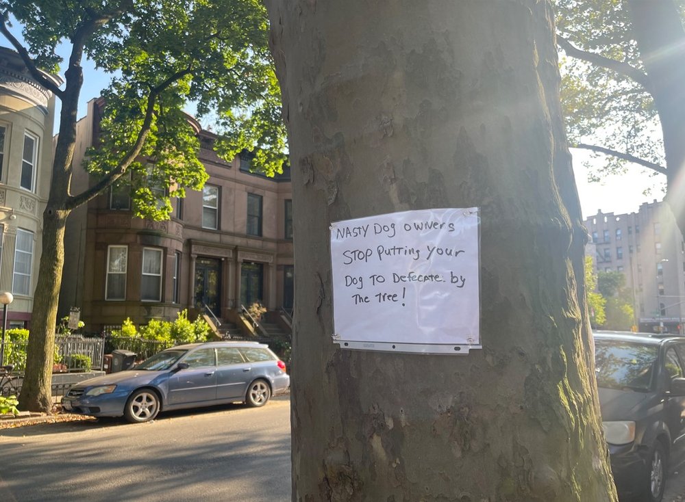 A sign in Crown Heights, Brooklyn.