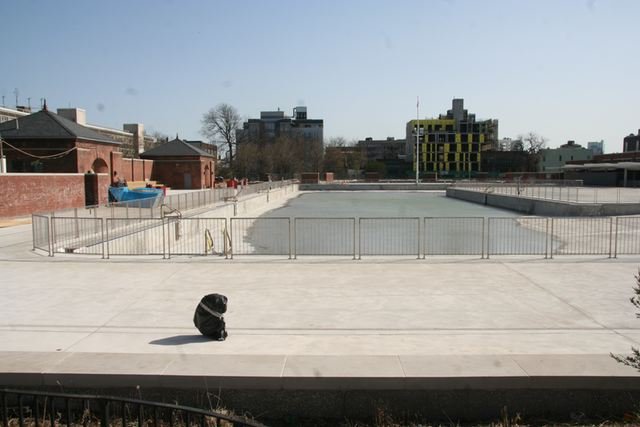 newpark0312a.jpg