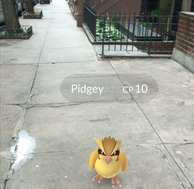 newpokemongo16.jpg