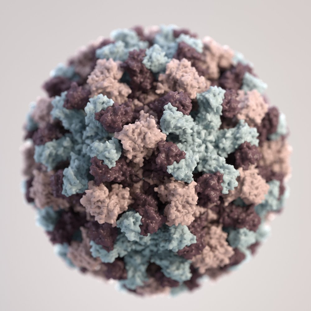 A three-dimensional (3D) illustration, Based on electron microscopic imagery, provides a graphical representation of a single norovirus particle.