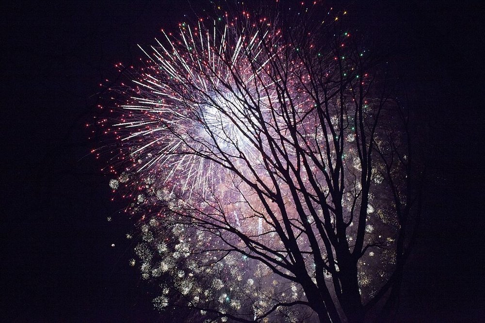 New Year's fireworks in Prospect Park