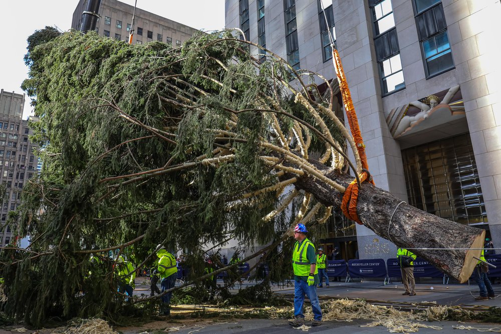 rocktree-105.jpg Rockefeller Center tree