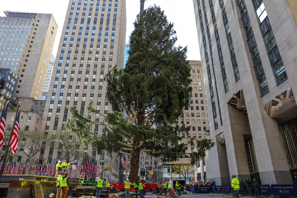 rocktree-119.jpg Rockefeller Center tree