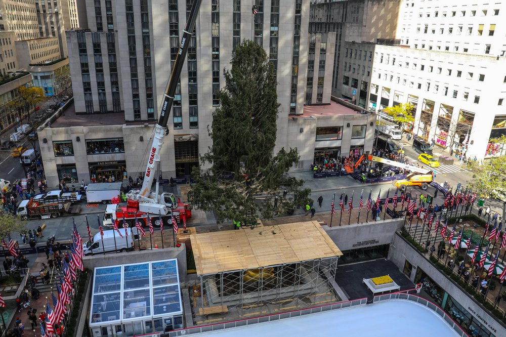 rocktree-131.jpg Rockefeller Center tree